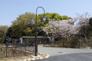 豊橋市総合動植物公園 照明灯