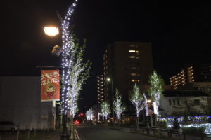 愛知県半田市 半田ランブリングタウンのイルミネーション：納入事例写真