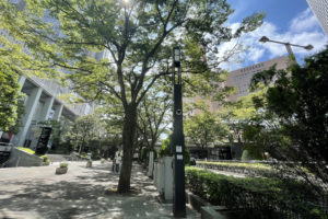 東京都西新宿 都庁前の次世代都市インフラ「スマート街路灯」：納入事例写真