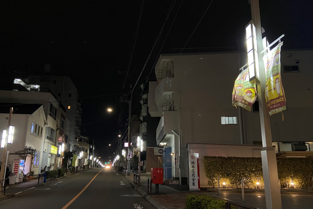 東京都世田谷区 奥沢駅自由通りの光の列柱をイメージした街路灯：納入事例写真