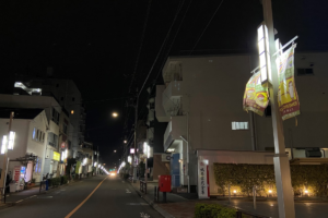 東京都世田谷区 奥沢駅自由通りの光の列柱をイメージした街路灯：納入事例写真