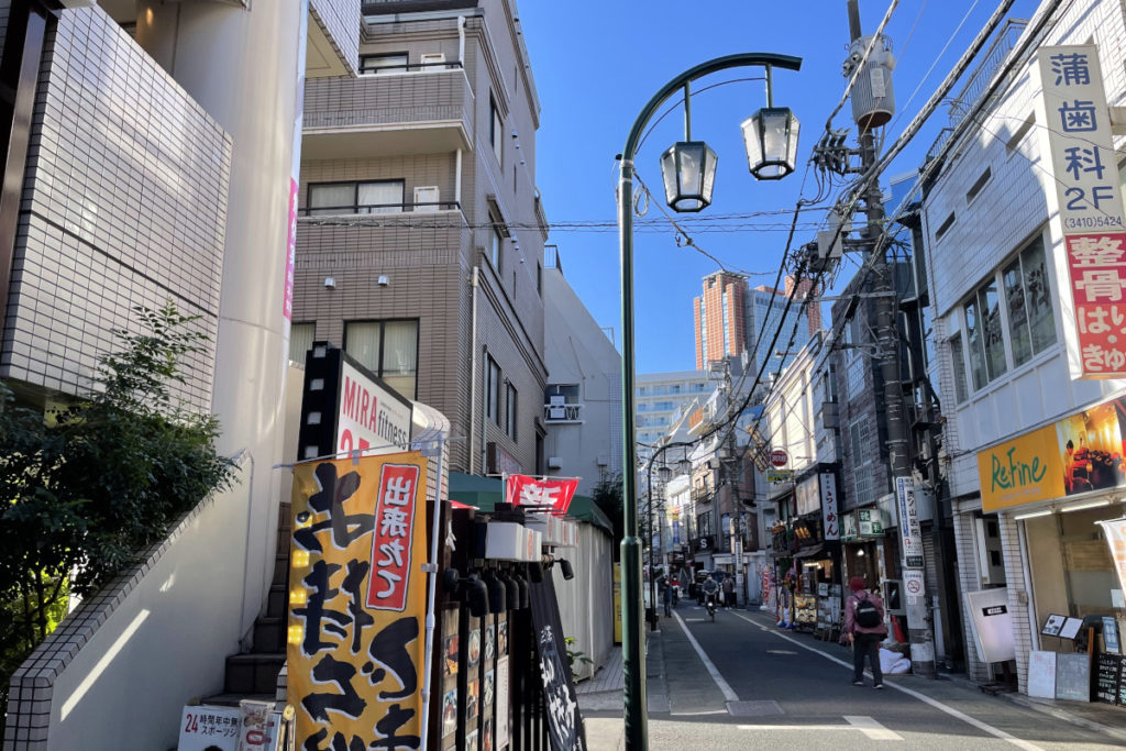 東京都江東区 東陽商店街の2灯式HS-420P型街路灯：納入事例写真