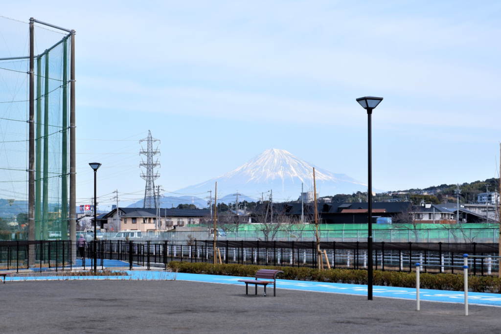 静岡県静岡市 恩田原公園「HS-545型照明灯（LED街路灯）」納入事例画像