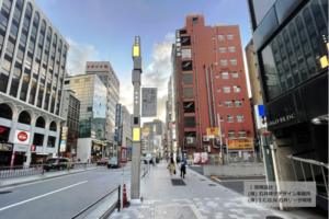 東京都港区 六本木商店街のスマートポール（スマート街路灯）：納入事例写真