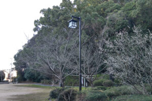 和歌山市 津屋公園のCS-614P型街路灯納入事例写真