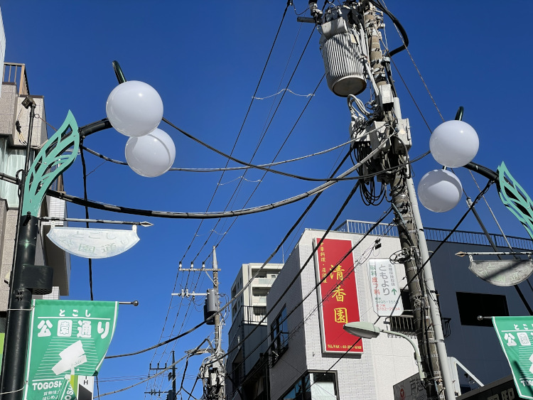 東京都品川区 とごし公園通りの納入事例写真です